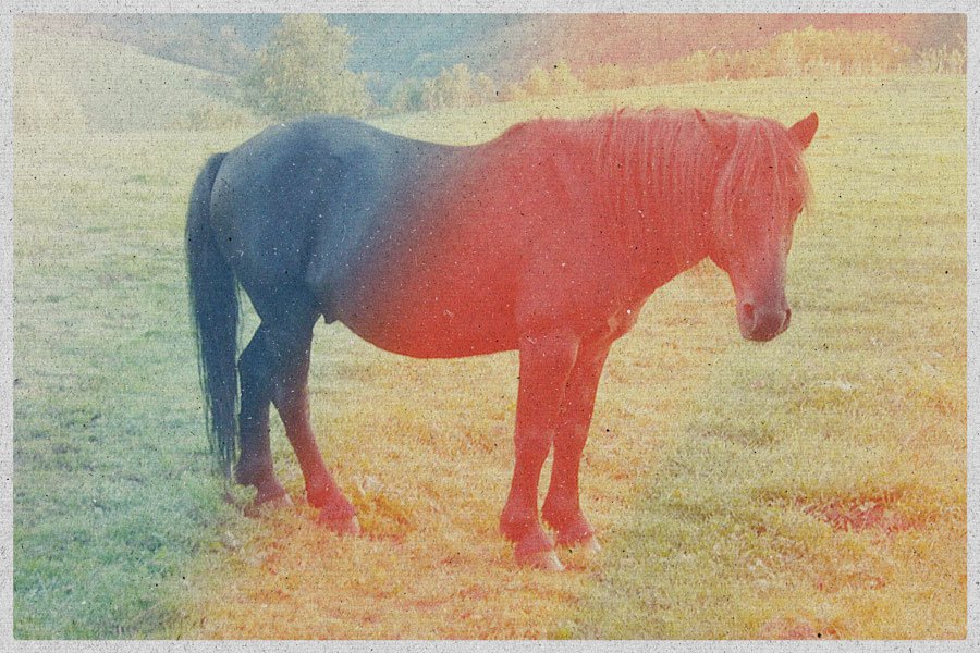 caballo